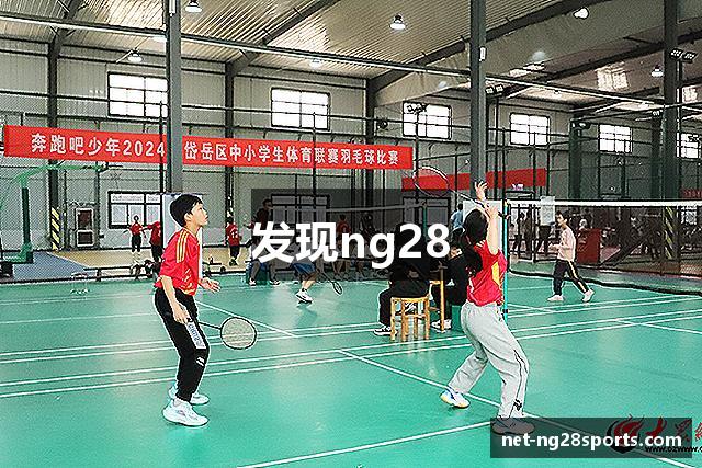 发现ng28